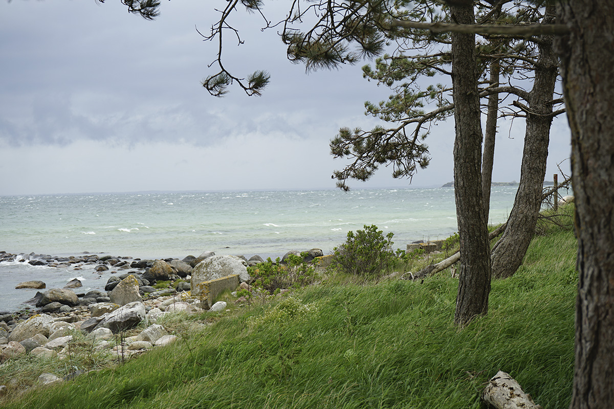 Vandretur på Orø. Flot natur - omkranset af vand. Tur på ca. 5 km